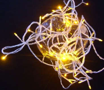  made in china  Warm White 50 Superbright LED String Lights Static On Clear Cable  company