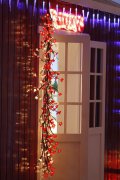 FY-50022 LED Zweig Weihnachts FY-50022 LED billig Zweig Weihnachtsbaum kleine LED-Leuchten Lampe Lampe - LED Licht AstMade in China